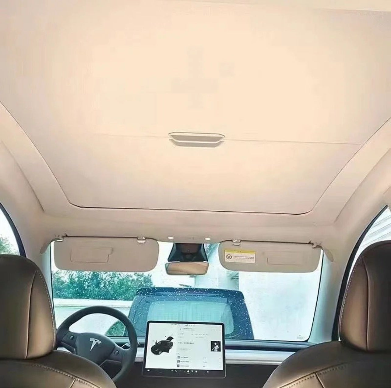 Panorama Model Y Shades