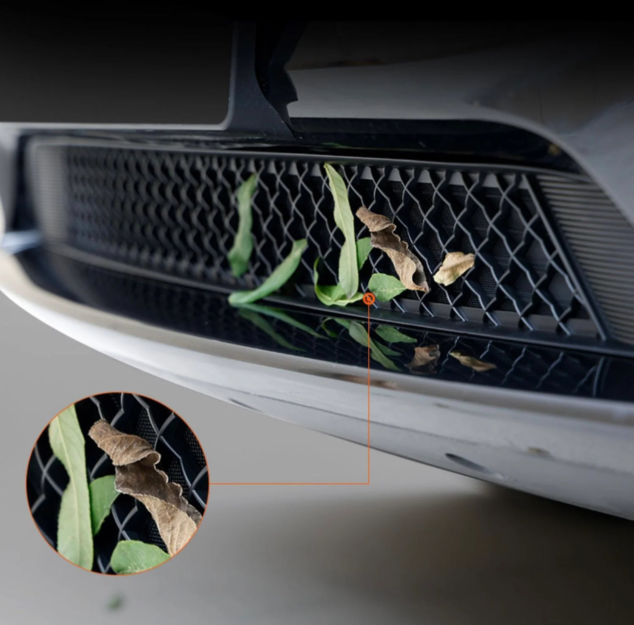 Inlet Grill