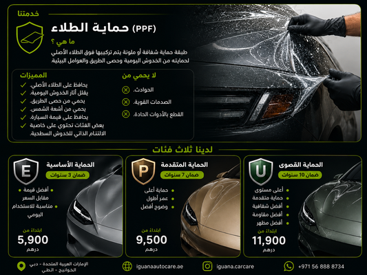 IGUANA Paint Protection Film (PPF)